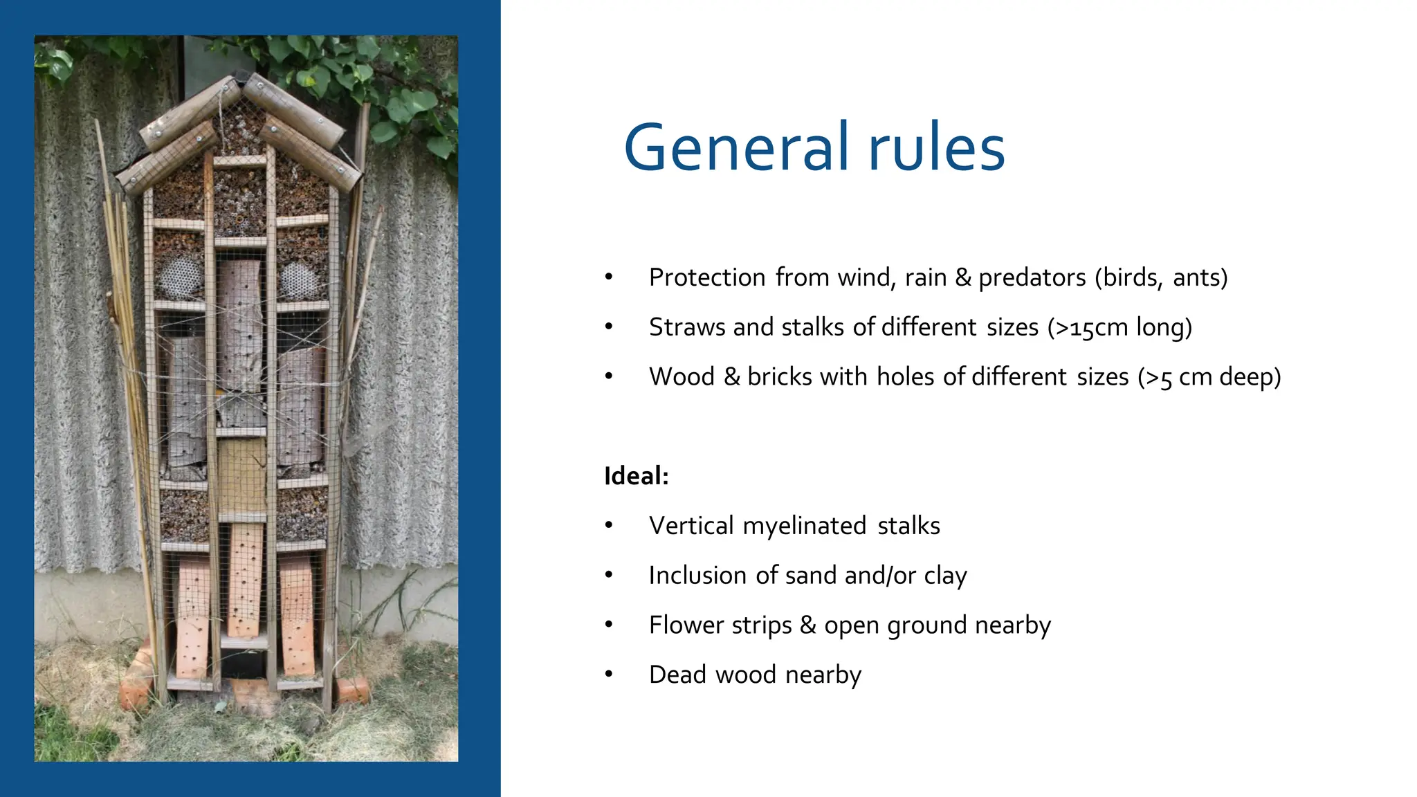 General rules
• Protection from wind, rain & predators (birds, ants)
• Straws and stalks of different sizes (>15cm long)
• Wood & bricks with holes of different sizes (>5 cm deep)
Ideal:
• Vertical myelinated stalks
• Inclusion of sand and/or clay
• Flower strips & open ground nearby
• Dead wood nearby
 