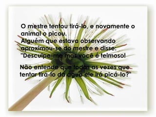 O mestre tentou tirá-lo, e novamente o animal o picou.  Alguém que estava observando aproximou-se do mestre e disse: "Desculpe-me mas você é teimoso!  Não entende que todas as vezes que tentar tirá-lo da água ele irá picá-lo?" 
