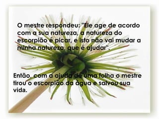 O mestre respondeu: "Ele age de acordo com a sua natureza, a natureza do escorpião é picar, e isto não vai mudar a minha natureza, que é ajudar".   Então, com a ajuda de uma folha o mestre tirou o escorpião da água e salvou sua  vida.   