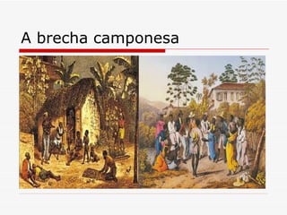 A brecha camponesa 