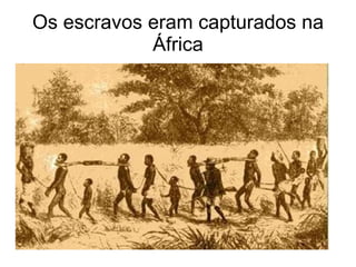 Os escravos eram capturados na África 
