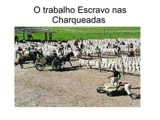O trabalho Escravo nas Charqueadas  