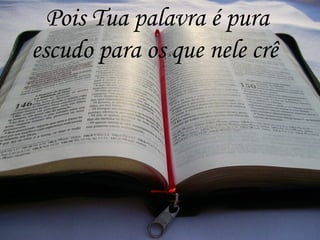 Pois Tua palavra é pura
escudo para os que nele crê
 