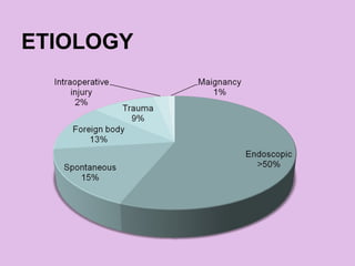ETIOLOGY
 