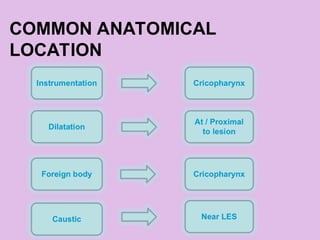 COMMON ANATOMICAL
LOCATION
 