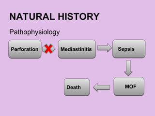 NATURAL HISTORY
Pathophysiology
Perforation Mediastinitis Sepsis
MOF
Death
 
