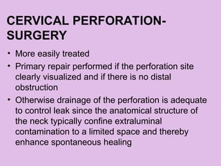 CERVICAL PERFORATION-
SURGERY
• More easily treated
• Primary repair performed if the perforation site
clearly visualized and if there is no distal
obstruction
• Otherwise drainage of the perforation is adequate
to control leak since the anatomical structure of
the neck typically confine extraluminal
contamination to a limited space and thereby
enhance spontaneous healing
 