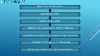 PROTECTION OF LIPS & TEETH
LUBRICATION OF SCOPE
HOLDING OF THE SCOPE
IDENTIFICATION OF LARYNGOPHARYNX STRUCTURES
ADVANCEMENT FURTHER INTO CRICOPHARYNGEAL SPHINCTER
CROSSING AORTIC ARCH & LEFT BRONCHUS
PASSING THE CARDIA & FOLLOWED BY WITHDRAWL
TECHNIQUES
 