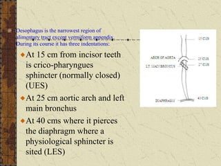 Oesophagus is the narrowest region of
alimentary tract except vermiform appendix.
During its course it has three indentations:
At 15 cm from incisor teeth
is crico-pharyngues
sphincter (normally closed)
(UES)
At 25 cm aortic arch and left
main bronchus
At 40 cms where it pierces
the diaphragm where a
physiological sphincter is
sited (LES)
 