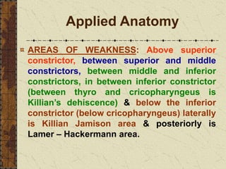 Applied Anatomy
AREAS OF WEAKNESS: Above superior
constrictor, between superior and middle
constrictors, between middle and inferior
constrictors, in between inferior constrictor
(between thyro and cricopharyngeus is
Killian’s dehiscence) & below the inferior
constrictor (below cricopharyngeus) laterally
is Killian Jamison area & posteriorly is
Lamer – Hackermann area.
 