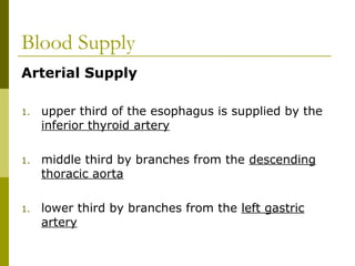 Blood Supply
Arterial Supply
1. upper third of the esophagus is supplied by the
inferior thyroid artery
1. middle third by branches from the descending
thoracic aorta
1. lower third by branches from the left gastric
artery
 