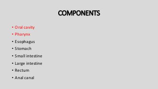COMPONENTS
• Oral cavity
• Pharynx
• Esophagus
• Stomach
• Small intestine
• Large intestine
• Rectum
• Anal canal
 