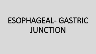 ESOPHAGEAL- GASTRIC
JUNCTION
 