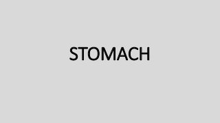 STOMACH
 