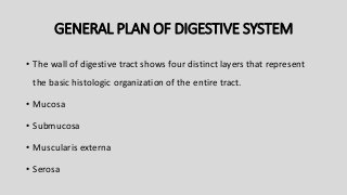GENERAL PLAN OF DIGESTIVE SYSTEM
• The wall of digestive tract shows four distinct layers that represent
the basic histologic organization of the entire tract.
• Mucosa
• Submucosa
• Muscularis externa
• Serosa
 