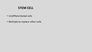 STEM CELL
• Undifferentiated cells
• Multiply to replace other cells
 