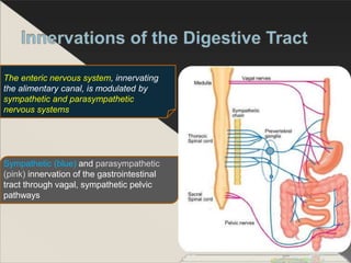 Oesophagus pdf.pptx