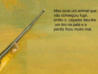 Mas ouve um animal que não conseguiu fugir, então o  caçador deu-lhe  um tiro na pata e a perdiz ficou muito mal. 