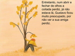 Entretanto, num abrir e fechar de olhos a coitada perdiz, já não estava lá, Gustavo ficou muito preocupado, por não ver a sua amiga perdiz. 