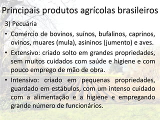 Principais produtos agrícolas brasileiros
3) Pecuária
• Comércio de bovinos, suínos, bufalinos, caprinos,
  ovinos, muares (mula), asininos (jumento) e aves.
• Extensivo: criado solto em grandes propriedades,
  sem muitos cuidados com saúde e higiene e com
  pouco emprego de mão de obra.
• Intensivo: criado em pequenas propriedades,
  guardado em estábulos, com um intenso cuidado
  com a alimentação e a higiene e empregando
  grande número de funcionários.
 