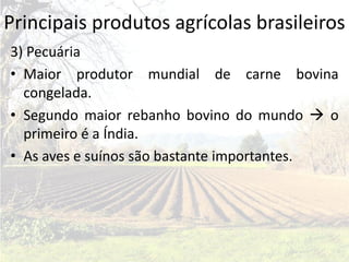 Principais produtos agrícolas brasileiros
3) Pecuária
• Maior produtor mundial de carne bovina
  congelada.
• Segundo maior rebanho bovino do mundo  o
  primeiro é a Índia.
• As aves e suínos são bastante importantes.
 