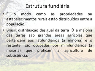 Estrutura fundiária
• É o modo como as propriedades ou
  estabelecimentos rurais estão distribuídos entre a
  população.
• Brasil: distribuição desigual da terra  a maioria
  das terras são grandes áreas agrícolas que
  pertencem aos latifundiários (a minoria) e o
  restante, são ocupadas por minifundiários (a
  maioria) que praticam a agricultura de
  subsistência.
 