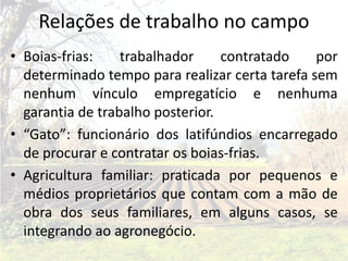 Relações de trabalho no campo
• Boias-frias:    trabalhador     contratado    por
  determinado tempo para realizar certa tarefa sem
  nenhum vínculo empregatício e nenhuma
  garantia de trabalho posterior.
• “Gato”: funcionário dos latifúndios encarregado
  de procurar e contratar os boias-frias.
• Agricultura familiar: praticada por pequenos e
  médios proprietários que contam com a mão de
  obra dos seus familiares, em alguns casos, se
  integrando ao agronegócio.
 