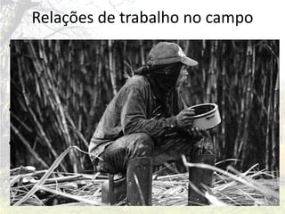 Relações de trabalho no campo
• Boias-frias:    trabalhador     contratado    por
  determinado tempo para realizar certa tarefa sem
  nenhum vínculo empregatício e nenhuma
  garantia de trabalho posterior.
• “Gato”: funcionário dos latifúndios encarregado
  de procurar e contratar os boias-frias.
• Agricultura familiar: praticada por pequenos e
  médios proprietários que contam com a mão de
  obra dos seus familiares, em alguns casos, se
  integrando ao agronegócio.
 