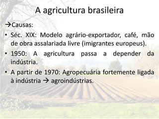 A agricultura brasileira
Causas:
• Séc. XIX: Modelo agrário-exportador, café, mão
  de obra assalariada livre (imigrantes europeus).
• 1950: A agricultura passa a depender da
  indústria.
• A partir de 1970: Agropecuária fortemente ligada
  à indústria  agroindústrias.
 