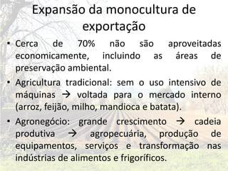 Expansão da monocultura de
             exportação
• Cerca de 70% não são aproveitadas
  economicamente, incluindo as áreas de
  preservação ambiental.
• Agricultura tradicional: sem o uso intensivo de
  máquinas  voltada para o mercado interno
  (arroz, feijão, milho, mandioca e batata).
• Agronegócio: grande crescimento  cadeia
  produtiva  agropecuária, produção de
  equipamentos, serviços e transformação nas
  indústrias de alimentos e frigoríficos.
 