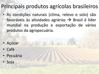 Principais produtos agrícolas brasileiros
• As condições naturais (clima, relevo e solo) são
  favoráveis às atividades agrárias  Brasil é líder
  mundial na produção e exportação de vários
  produtos da agropecuária.

•   Açúcar
•   Café
•   Pecuária
•   Soja
 