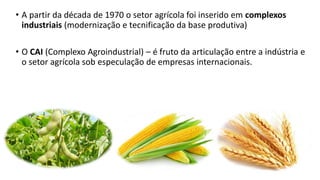 • A partir da década de 1970 o setor agrícola foi inserido em complexos
industriais (modernização e tecnificação da base produtiva)
• O CAI (Complexo Agroindustrial) – é fruto da articulação entre a indústria e
o setor agrícola sob especulação de empresas internacionais.
 