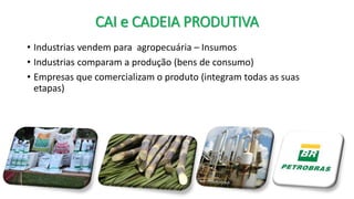 CAI e CADEIA PRODUTIVA
• Industrias vendem para agropecuária – Insumos
• Industrias comparam a produção (bens de consumo)
• Empresas que comercializam o produto (integram todas as suas
etapas)
 
