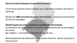 Berço da Industrialização da agricultura brasileira
Lei de Terras garantiu direito a glebas para imigrantes europeus (alemães e
italianos)
Década de 1980 aumento de gastos com insumos – pequenos proprietários
de terras endividados
Modernização do campo através da inserção da mecanização
Contribuição de universidades no estudo e desenvolvimento de tecnologias
de cultivo.
Ex. Calagem – inoculação de bactéria da raiz da soja
Desenvolvimento da vitivinicultura em escala industrial – Bento Gonçalves e
Caxias do Sul
 