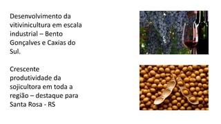 Desenvolvimento da
vitivinicultura em escala
industrial – Bento
Gonçalves e Caxias do
Sul.
Crescente
produtividade da
sojicultora em toda a
região – destaque para
Santa Rosa - RS
 