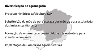 Diversificação do agronegócio
Processo histórico: cafeicultura (XIX)
Substituição da mão de obra escrava por mão de obra assalariada
dos imigrantes (italianos)
Formação de um mercado consumidor e infraestrutura para
atender a demanda
Implantação de Complexos Agroindustriais
 