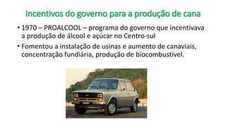 Incentivos do governo para a produção de cana
• 1970 – PROALCOOL – programa do governo que incentivava
a produção de álcool e açúcar no Centro-sul
• Fomentou a instalação de usinas e aumento de canaviais,
concentração fundiária, produção de biocombustível.
 