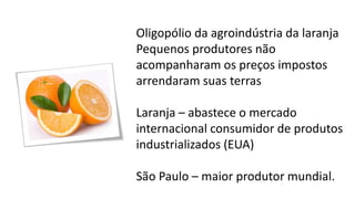 Oligopólio da agroindústria da laranja
Pequenos produtores não
acompanharam os preços impostos
arrendaram suas terras
Laranja – abastece o mercado
internacional consumidor de produtos
industrializados (EUA)
São Paulo – maior produtor mundial.
 