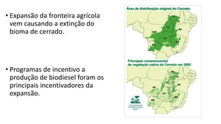 • Expansão da fronteira agrícola
vem causando a extinção do
bioma de cerrado.
• Programas de incentivo a
produção de biodiesel foram os
principais incentivadores da
expansão.
 
