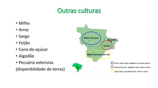 Outras culturas
• Milho
• Arroz
• Sorgo
• Feijão
• Cana-de-açúcar
• Algodão
• Pecuária extensiva
(disponibilidade de terras)
 
