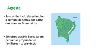 Agreste
• Solo acidentado desestimulou
a compra de terras por parte
dos grandes fazendeiros
• Estrutura agrária baseada em
pequenas propriedades
familiares - subsistência
 