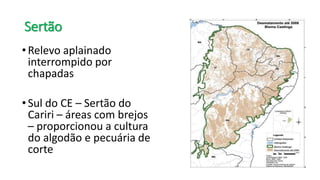 Sertão
•Relevo aplainado
interrompido por
chapadas
•Sul do CE – Sertão do
Cariri – áreas com brejos
– proporcionou a cultura
do algodão e pecuária de
corte
 