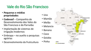 Vale do Rio São Francisco
• Pequenas e médias
propriedades
• Codevasf – Companhia de
Desenvolvimento dos Vales do
São Francisco e do Parnaíba
• Implantação de sistemas de
irrigação modernos
• Embrapa – no auxilio a pesquisas
agrárias
• Desenvolvimento da fruticultura
• Uva
• Mamão
• Melão
• Melancia
• Banana
• Coco
• Goiaba
• Pinha
 