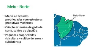 Meio - Norte
• Médias e Grandes
propriedades com estruturas
produtivas modernas
• Criação extensiva de gado de
corte, cultivo do algodão
• Pequenas propriedades –
rizicultura – cultivo do arroz -
subsistência
 