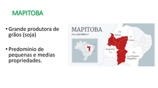 MAPITOBA
• Grande produtora de
grãos (soja)
• Predomínio de
pequenas e medias
propriedades.
 