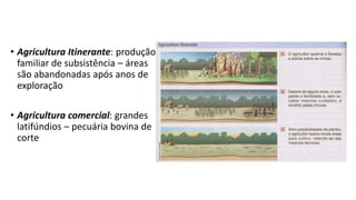 • Agricultura Itinerante: produção
familiar de subsistência – áreas
são abandonadas após anos de
exploração
• Agricultura comercial: grandes
latifúndios – pecuária bovina de
corte
 