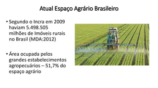 Atual Espaço Agrário Brasileiro
• Segundo o Incra em 2009
haviam 5.498.505
milhões de Imóveis rurais
no Brasil (MDA:2012)
• Área ocupada pelos
grandes estabelecimentos
agropecuários – 51,7% do
espaço agrário
 