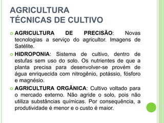 AGRICULTURA
TÉCNICAS DE CULTIVO
 AGRICULTURA DE PRECISÃO: Novas
tecnologias a serviço do agricultor. Imagens de
Satélite.
 HIDROPONIA: Sistema de cultivo, dentro de
estufas sem uso do solo. Os nutrientes de que a
planta precisa para desenvolver-se provém de
água enriquecida com nitrogênio, potássio, fósforo
e magnésio.
 AGRICULTURA ORGÂNICA: Cultivo voltado para
o mercado externo. Não agride o solo, pois não
utiliza substâncias químicas. Por consequência, a
produtividade é menor e o custo é maior.
 
