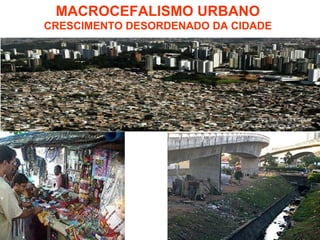MACROCEFALISMO URBANO CRESCIMENTO DESORDENADO DA CIDADE 