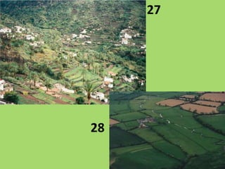 27
28
 